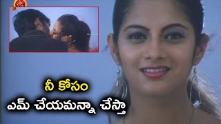 నీ కోసం ఎమ్ చేయమన్నా చేస్తా  Dhanush Sindhu Tolani Movie Scenes [upl. by Oirelav]