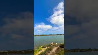 Nice weather for fishing🎣 geraldton nature fish beach riverfish fishing [upl. by Thomasine]