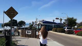 Amtrak Coaster train San Diego goes by [upl. by Cornela]