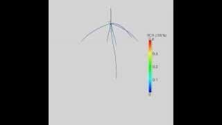 Growth of maize root system showing aerenchyma distribution in SimRoot [upl. by Pomfret943]