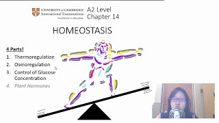 A Level Biology Topic 6 Nucleic acids amp protein synthesis transcription amp translation [upl. by Rosalie]