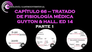 GUYTON amp HALL CAP 66 PRINCIPIOS GENERALES DE LA FUNCION GASTROINTESTINAL  PARTE 1 [upl. by Gussi]