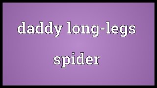 Daddy longlegs spider Meaning [upl. by Terrel]