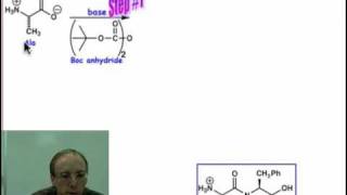 Peptide Synthesis [upl. by Llehsad]