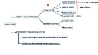 COMPTABILITÉ DE SOCIÉTÉ AFFECTATION DU RÉSULTAT [upl. by Azerila229]