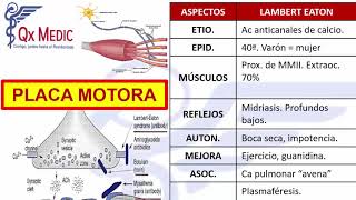 Neurología  1 RM19 DIA 2 NEUROLOGIA PLACA MOTORA de Qx Medic on Vimeo [upl. by Robinson]