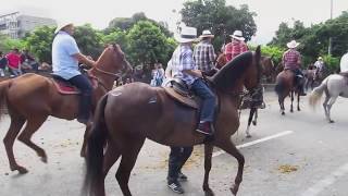 Cabalgata Horse Parade at the Feria de las Flores Flower Festival in Medellin Colombia [upl. by Esirrehc]