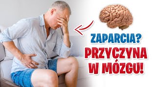 🍀 ZAPARCIA 🍀 MÓZG powodem ZAPARĆ 3 powody zaparć i jak się pozbyć BEZ LEKÓW [upl. by Gnak]