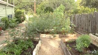 Turn lawn into food on a budgetMeredith ThomasCentral Texas Gardener [upl. by Hyams98]