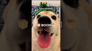 Chipi Chipi chapa chapa dubi dubi daba daba Happy Christmas xmas chipichipi dogs memes [upl. by Ardnikat]