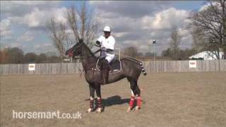 How to play polo how to hit a near side forehand shot [upl. by Ronel]