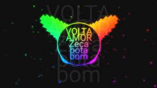 VOLTA AMOR Zeca bota bom 2k19 [upl. by Iz16]