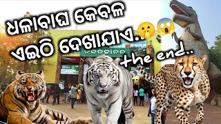 Nandankanan  part3  ଏତେ ପ୍ରକାରର ବାଘ ଆଉ କେଉଁଠି ଦେଖାଯାଏନି  tourist places in odisha [upl. by Fontana654]