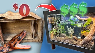 Turning a FREE Facebook Marketplace Find into an OASIS ECOSYSTEM for a Brazilian Rainbow Boa [upl. by Samuella]