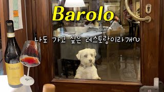 🇮🇹바롤로 현지인 추천 레스토랑 La Cantinetta 추천 와인 Marcarini 피에몬테 barolowine [upl. by Lysander]