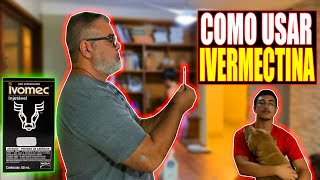 COMO USAR IVERMECTINA EM CÃES  PARTE 1 [upl. by Colleen69]