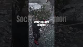 Red Dead Redemption 2 Sockeye Salmon Location arrakisstudio gaming rdr2 rdrgameplay xbox [upl. by Bilicki871]