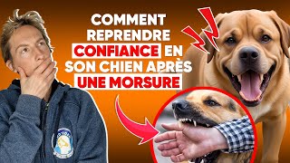 Comment Reprendre Confiance En Son Chien Après Une Morsure [upl. by Eiramllij]