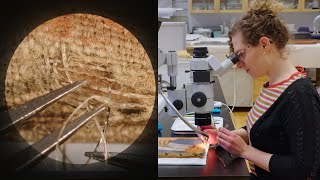 Microscopically reweaving a 1907 painting  CONSERVATION STORIES [upl. by Schnabel409]