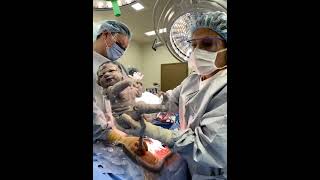 Baby born with Vernix Caseosa [upl. by Colson]