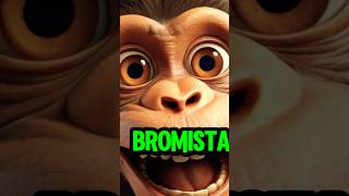 El mono bromista y el burro exito videos viralshorts meme videos youtubeshorts video [upl. by Aniratac]