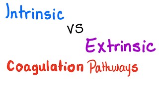 Intrinsic vs Extrinsic Coagulation pathways  Hemostasis  Bleeding and Coagulation [upl. by Aikkan]