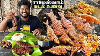 கடல் உணவு வேட்டை at Dhanushkodi 🔥  Best Sea Food Place in Tamilnadu [upl. by Boice]