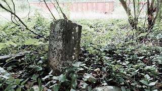 Old Plantation Cemetery Found Hidden Behind Railroad Stephenson Cunningham Cemetery [upl. by Emanuel]