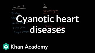 Cyanotic heart diseases  Diagnosis and treatment  NCLEXRN  Khan Academy [upl. by Debera]