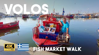 Volos Greece 4K Morning Summer Walk  Fishing Boats to Fish Market on Iolkou Street Walking Tour [upl. by Raye]