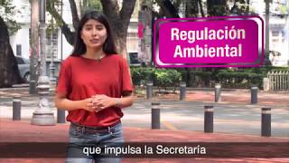 SEDEMA CDMX  CONOCE LA REGULACIÓN AMBIENTAL DE LA CDMX UnaNuevaCultura [upl. by Bohrer]