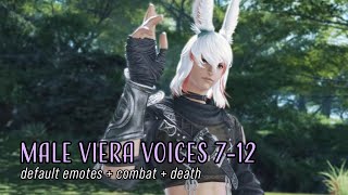 FFXIV Male Viera  Voices 712 [upl. by Asilat859]