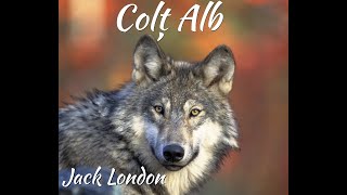 Colț Alb de Jack London partea 1 capitolul 1 PÂRTIA CĂRNII  Audiobook [upl. by Eziechiele]