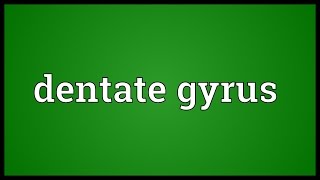 Dentate gyrus Meaning [upl. by Dabbs]