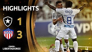 BOTAFOGO vs JUNIOR FC  HIGHLIGHTS  CONMEBOL LIBERTADORES 2024 [upl. by Woods151]