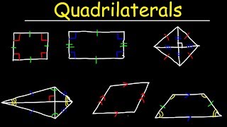 Quadrilaterals  Geometry [upl. by Witcher363]