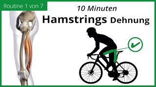 HAMSTRINGS DEHNEN für Radfahrer  10 Minuten DEHNROUTINE  MECKLENBURGER SEEN RUNDE 17 [upl. by Alleuqahs250]