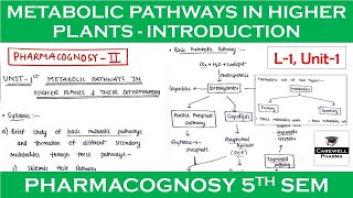 Metabolic pathways in higher plants and their determination  L1 U1  pharmacognosy 5th sem [upl. by Olifoet]