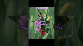 ဟန်နိုင်စိုး ချစ်သောသစ္စာshortvideo myanmarsongphotography [upl. by Rivera]