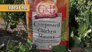 GBO Composted Chicken Manure [upl. by Madalyn]