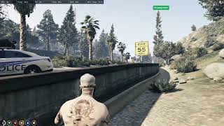 highlights gta 5 rp fivem  How to kill all the cops [upl. by Aleafar]