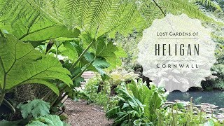 The Lost Gardens of Heligan in Cornwall England [upl. by Debbra94]