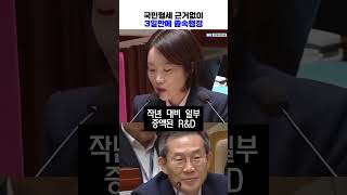 원희룡장관에 이어 RampD예산 삭감해버린 과기부장관 참교육하는 이소영의원 1편 [upl. by Idid691]