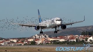 A Large Flock of Birds and A Incoming Boeing 757 [upl. by Navanod249]