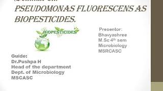 Pseudomonas fluorscens as biopesticides [upl. by Feinleib]