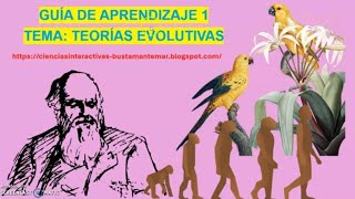 GUÍA TEORÍAS EVOLUTIVAS [upl. by Ursuline]