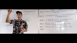 Pentose Phosphate Pathway Simplified  Hexose monophosphate shunt [upl. by Elletsirhc]