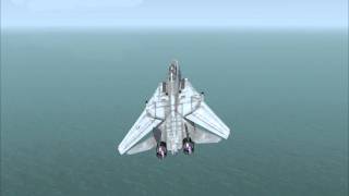 F14 pass Aircraft Carrier [upl. by Drarig]