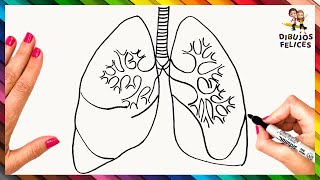 Cómo Dibujar Unos Pulmones Paso A Paso  Dibujo Fácil De Pulmones [upl. by Yejus]