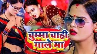 खुलम खुल्ला डांस वीडियो सोंग देखकर आपकी लार टपक जाएगी  2024 Bhojpuri Song Superhit 2024 [upl. by Roht]